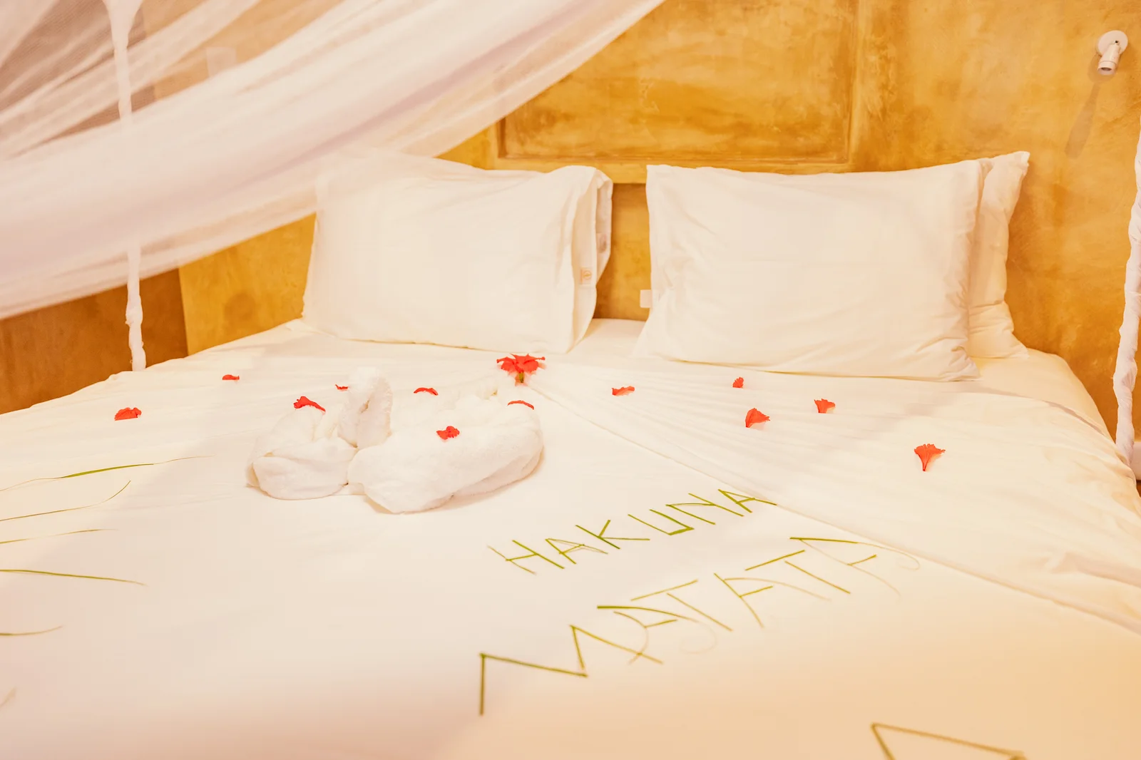 A closer look at Mayai Ocean Resort
